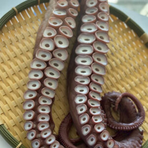 活茹で水だこ足約1.4kg