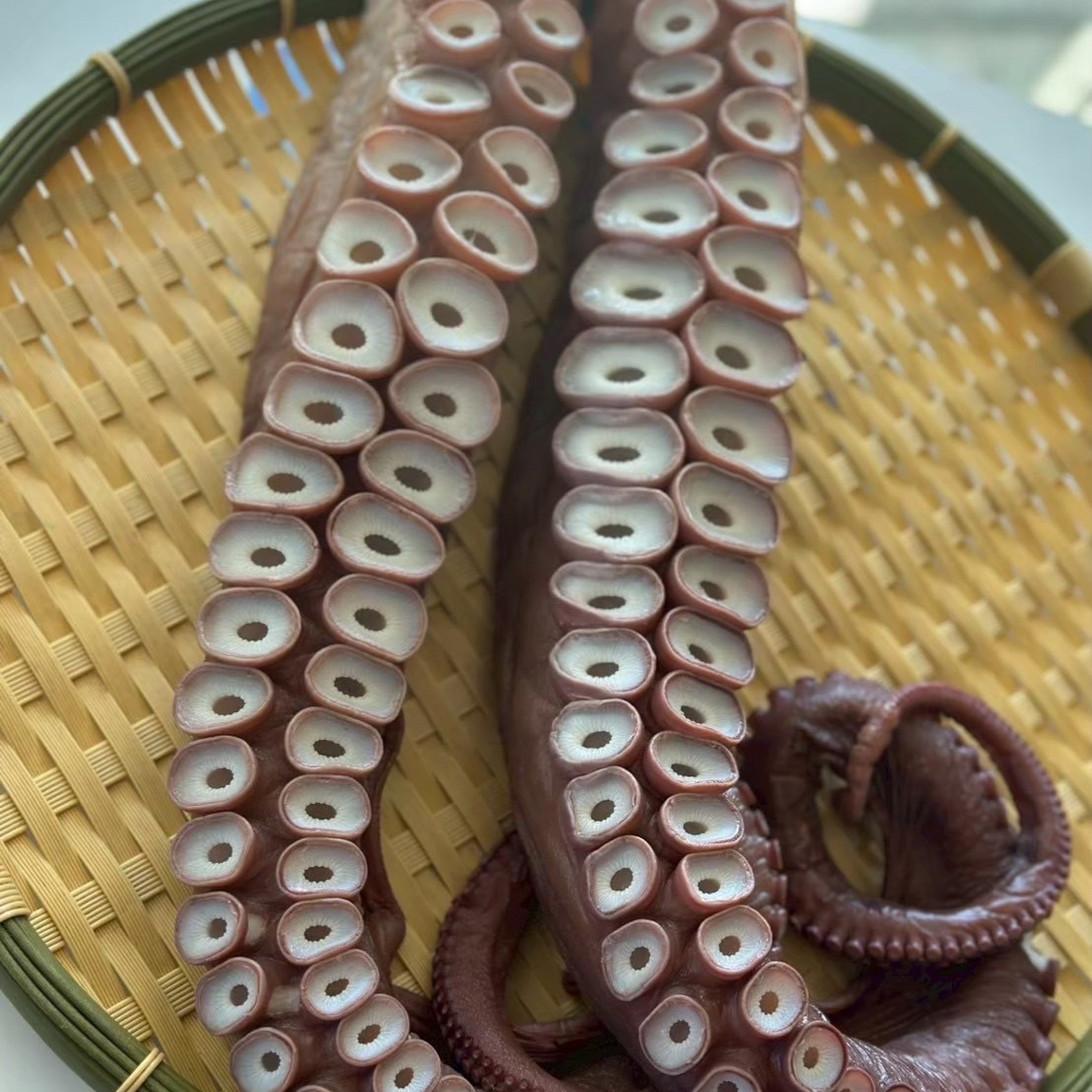 活茹で水だこ足約1.4kg